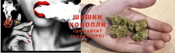ГАЛЛЮЦИНОГЕННЫЕ ГРИБЫ Горняк