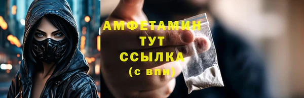 ГАЛЛЮЦИНОГЕННЫЕ ГРИБЫ Горняк