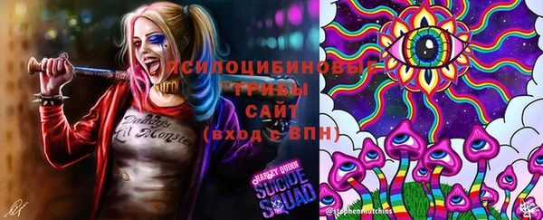 МДМА Горно-Алтайск
