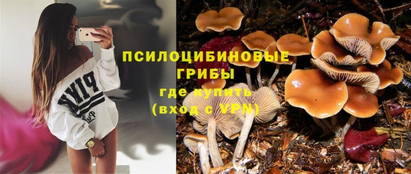 твердый Гусь-Хрустальный