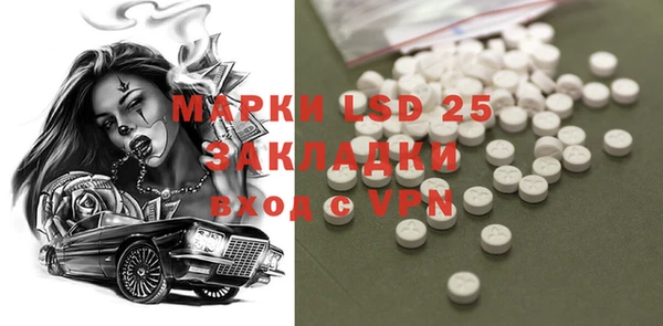 ГАЛЛЮЦИНОГЕННЫЕ ГРИБЫ Горняк