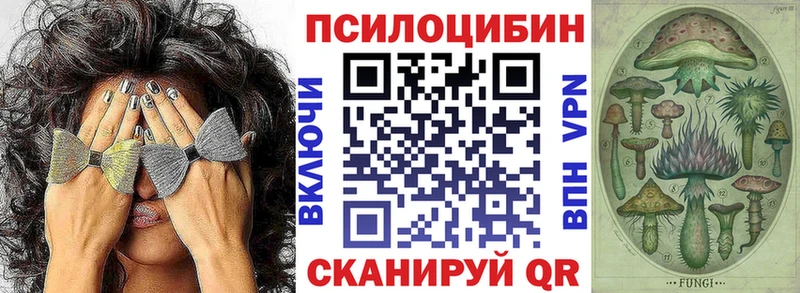 Псилоцибиновые грибы мицелий  Первомайск 